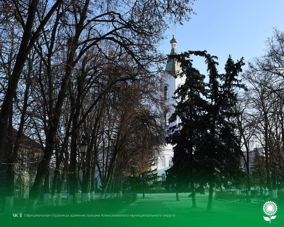 23 ������. ����������� ������� -10�C, �������, ��� �������