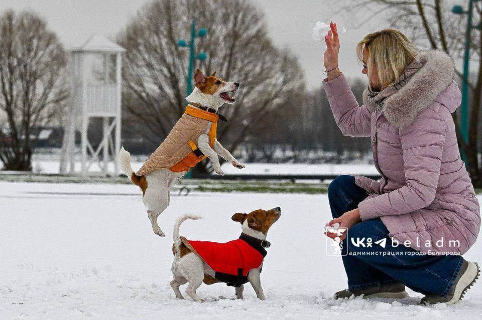 ������ � ��������� 23 ������