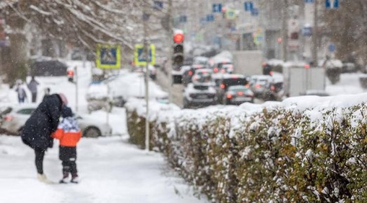 � ������������ ������� ��������� ������ ������������� �����������, ������� ����������