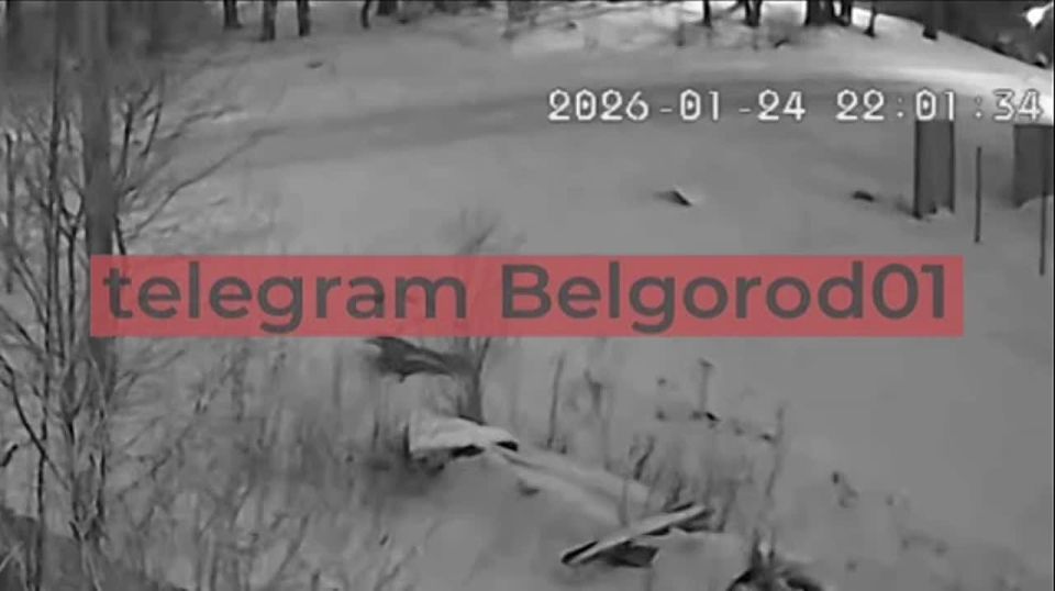 WarGonzo: �� ��������� ������ ����� ���������� ����: ���������� ������� ����������