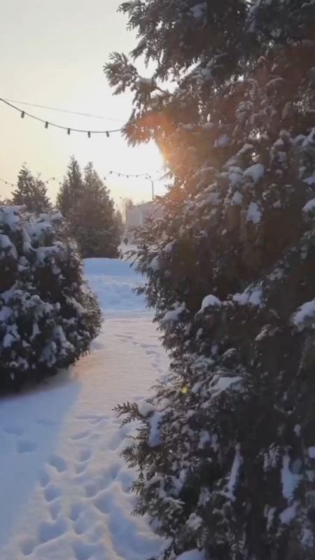 � ���� ������� ���������� � ����������� �������