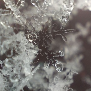 �������, 24 ������, ��� ��� �������� � ������������ ������