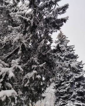 ������ ����, ��������!. ������� � ������ ��������� ��������� ������ � �� -14 �������� ������