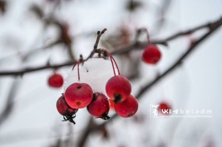 ������ ����!. ������� ��������� ��������� ����