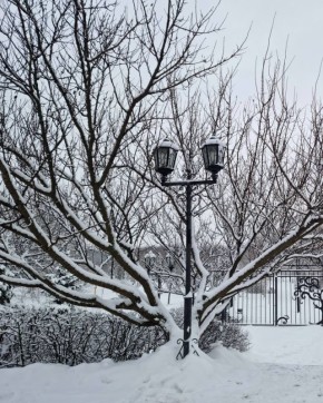 ������ ����, ��������!. ������� ����� ����� �������� � �� -13 �������� ������