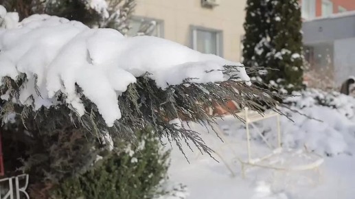 ������������ ���� �������� ���������� ��������, ����� ����������� ��������, ������������� � �� ������, ������� ���������� ������� ����