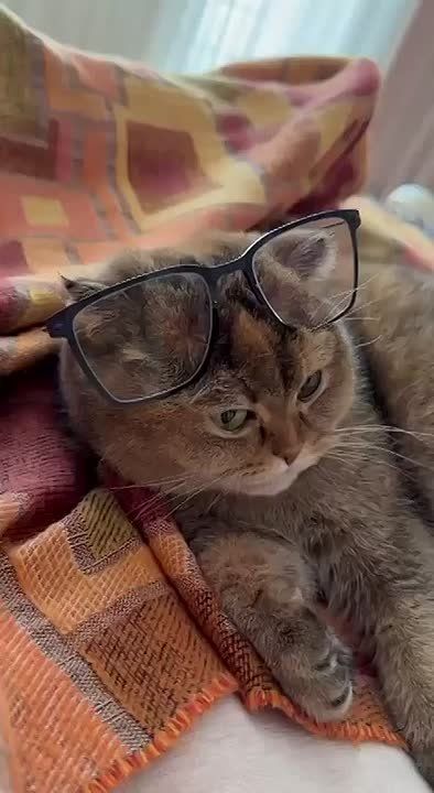 ��� �������� ���������: �������� ������� � ���� �������� ����� ������ ��������� �������� �����.�