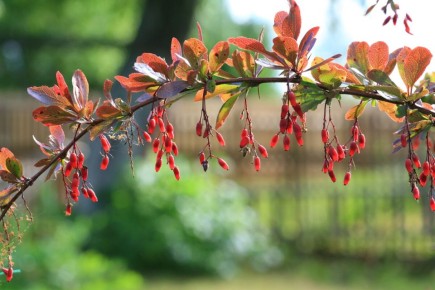 ����������� ����� ���������: ����� ������� ����, � ������������ ����� ������!