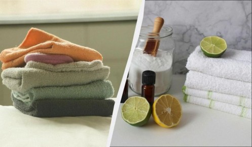 ��� ������� ��������� �������: �������� ����� � ������ ������ ������