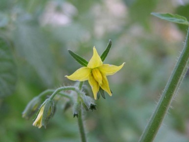 ���������� �����: ������������� �������� � ������ � ����������� � ��� ��������� ��������