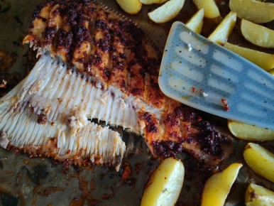 ����� ����� ��������: ������ ���������� ������� ������ ��������� ��������