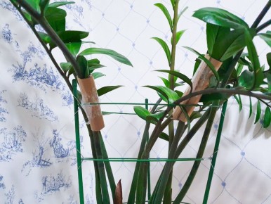 ��� ��������� ������������ � ��������� �����: ������� ��������� �����