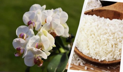 ������� ���� � �������: ��������� ���� � ������������ �������� �������