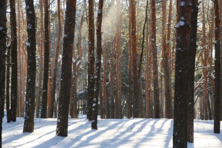 ������ ����, ������!. ���� ���������� ������� ������ ��� ���, ��� �� �������� ���� � ������ ����� ���� � ��������� �������