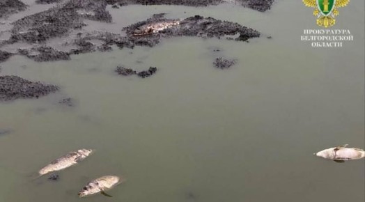 ������ ���������������� ������ ����� ������ ���������� ������ ����