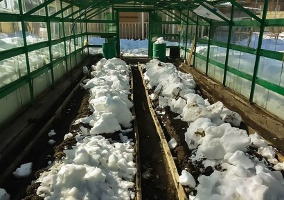 ����� ������ �������: ��� ���� �������� ����� �������� ����