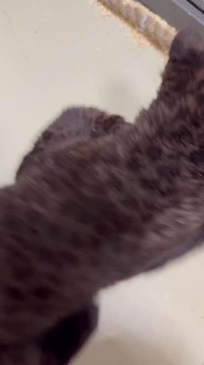 � ������� ������ ����� ���������: ��� ������ �������� � ����� ������ �����