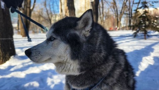 ����� � ��������: �������, 28 ������, ������� � ������ � ���� ������� ����� � �����