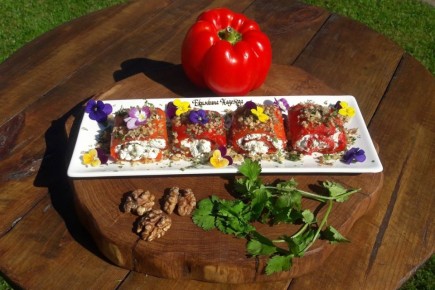 ����� �������� �� ����������� ����� � ������ ��������