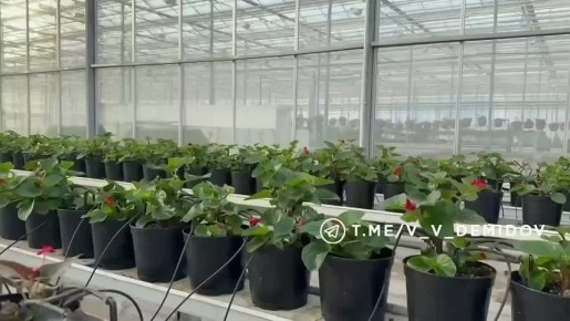 � ������������ �������� ���������� ����� 700 ���