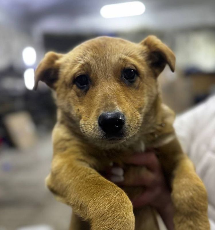 ������ ��������: � ��������� ������������ ������� ������ ����������� �� ����� ������