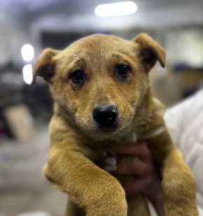 ������ ��������: � ��������� ������������ ������� ������ ����������� �� ����� ������