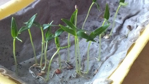 ������������� ��� ������ ����� � 2026 ����: ��� ������� ����� ��� �������� � ��������