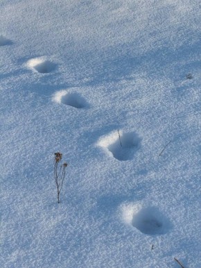 �������, 28 ������, � ��������� ��������� ����