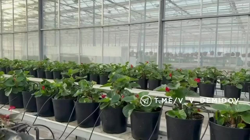 �������� ���������: ��������� ������� ������� ����� 700 ����� ������ � �����!