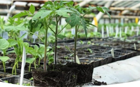 ��� ��������� ������� ������� ��� ��������� � ��������� ������ ������