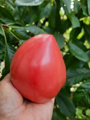 ������ ���: ��������� ������ �� ��������� ����� � �������� ������� � �������