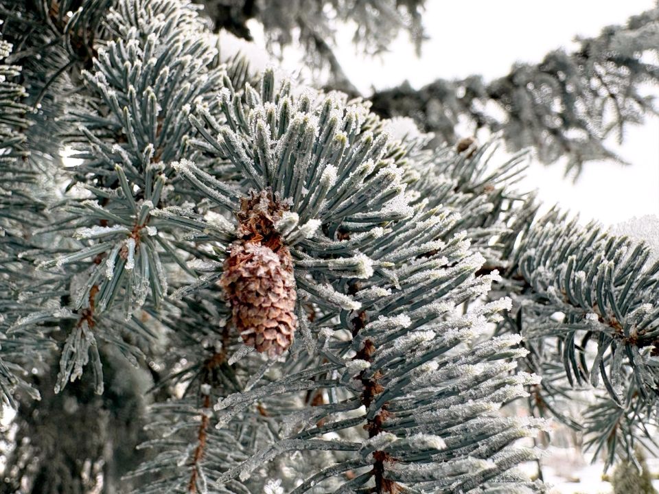 ������ ������� ������ �������� � ����������, � ���������� ��������� ������������� ��� ������� � ����� ������� ������