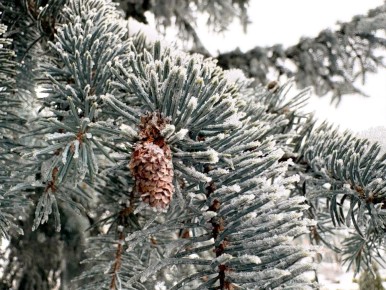 ������ ������� ������ �������� � ����������, � ���������� ��������� ������������� ��� ������� � ����� ������� ������