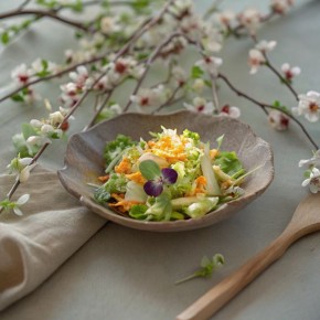 ������ �������� ������� ������: ���� ����, ���� ���� ������� � ������������ �����