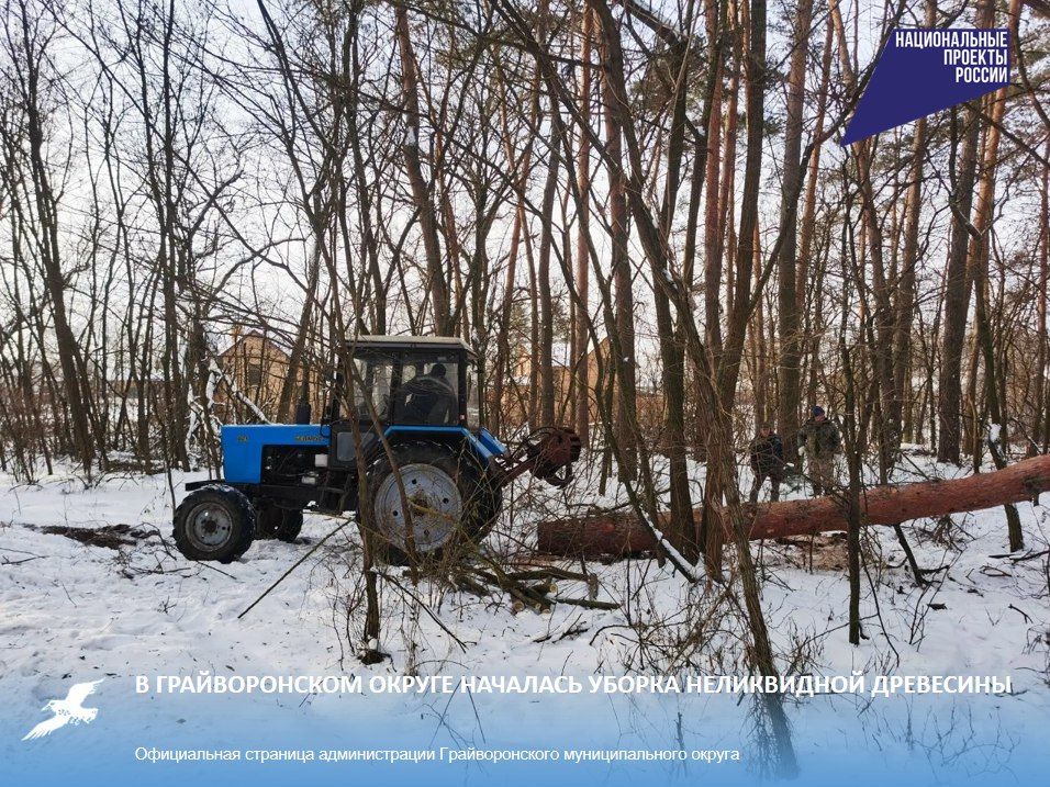 � ������������� ������ �������� ������ ����������� ���������