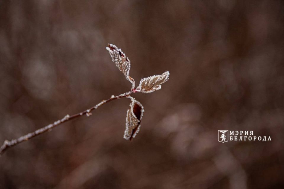 ������ ����, ��������!. ��������� ������� ������� �������