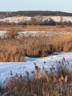 ������� �� ����������!. ���� � ����� �������! � ��� ����� �� ������ ��� ��������� ����, �� � ��� ��� ��������, ����� ������� ��� ������� �����������, ���������� ������ � ����