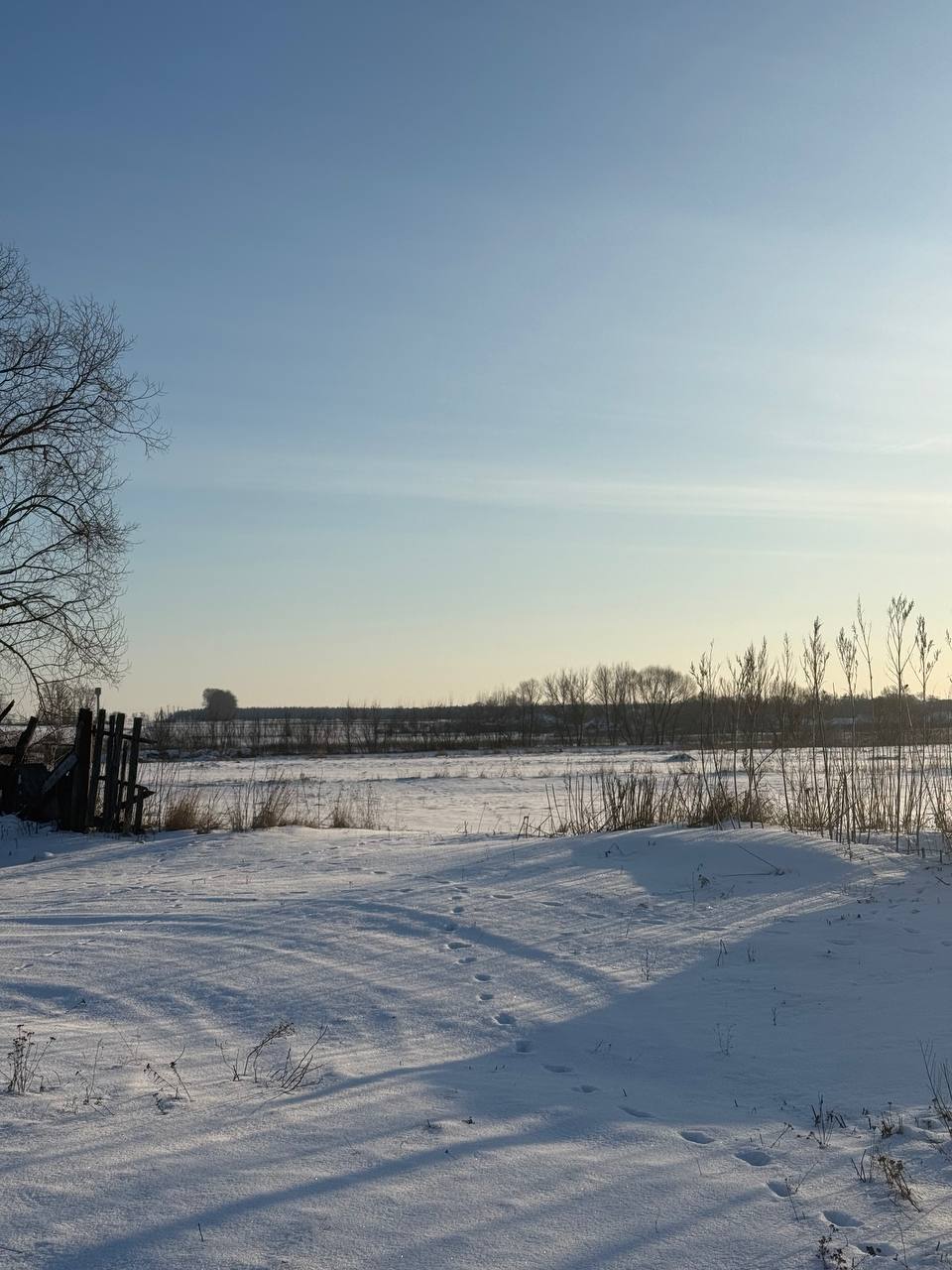 Пятница на «БелПрессе»!. Зима в самом разгаре! И это время не только для посиделок дома, но и для тех прогулок, после которых так приятно согреваться, накрывшись пледом у окна Пятница на «БелПрессе»!. Зима в самом разгаре! И это время не только для посиделок дома, но и для тех прогулок, после которых так приятно согреваться, накрывшись пледом у окна