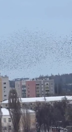 �������� ���� ���� ������� ��� ������ �� ����� �������� ��������� � ������������ �������