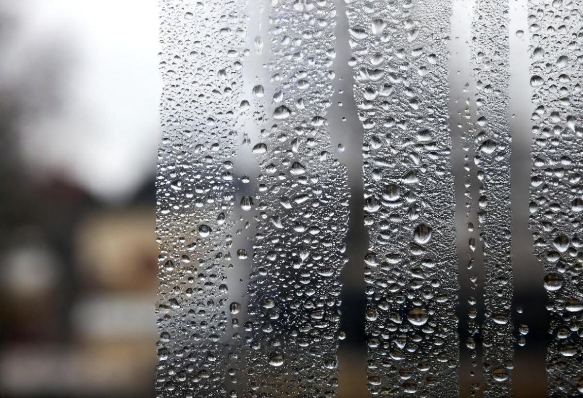 Как простая привычка поможет избавиться от конденсата в вашем доме