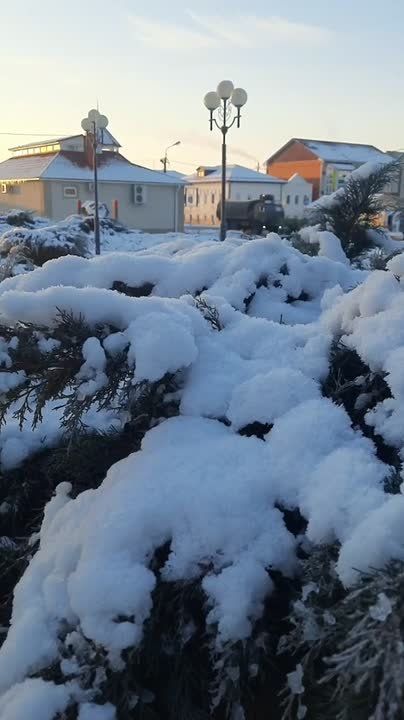 ������ ����, ������. ������� ������� � ���������� ������! ����������� ��������� � ��������� ������� �������