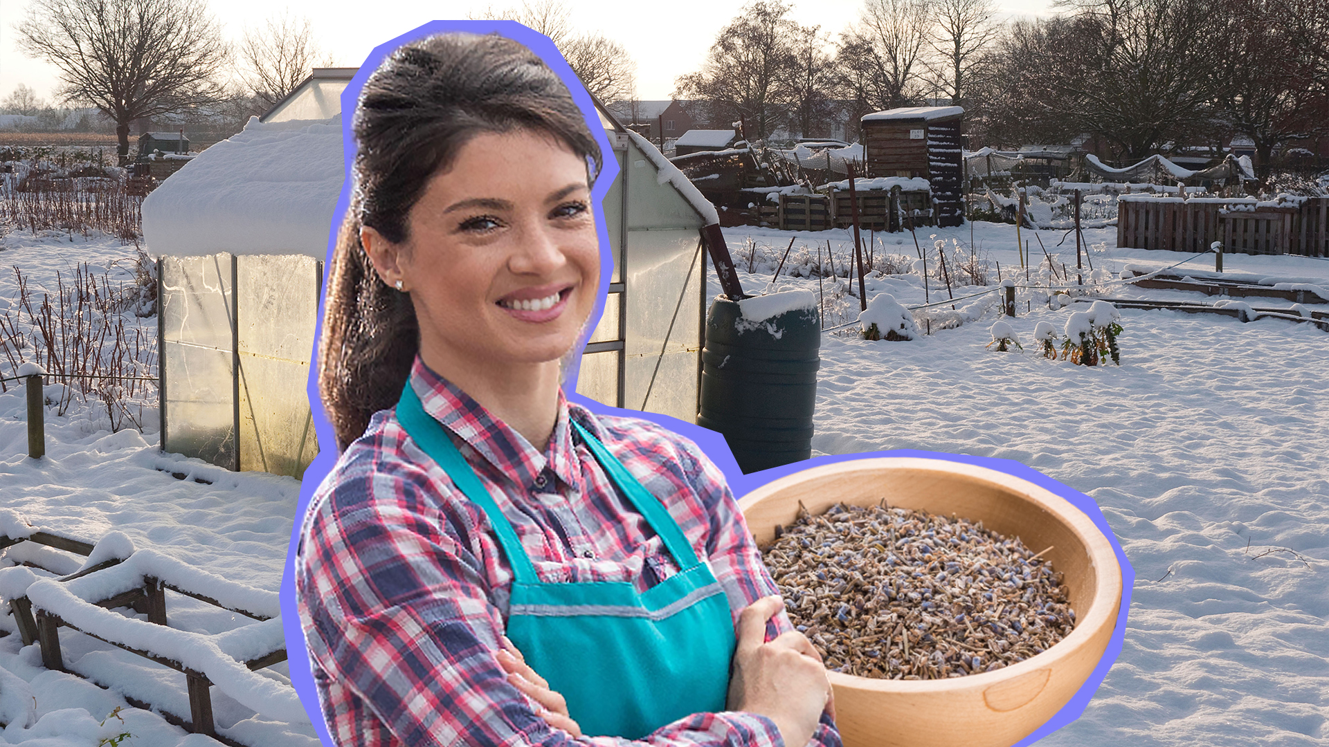 Успейте в срок: эти растения нужно посадить на участке в январе