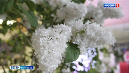 1234 ������ � �������� ����