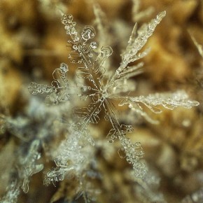 � �������, 31 ������, ����� �������