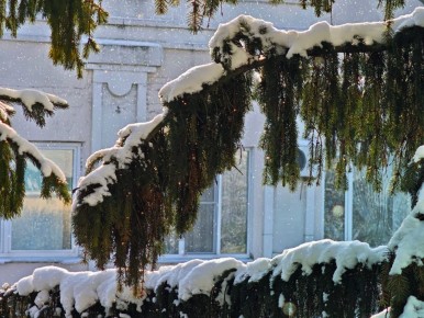 ��������� �������������!. �� ������� ��� ��� ������ ������������ �� ����������� ������������ � ��������� �������� ��������