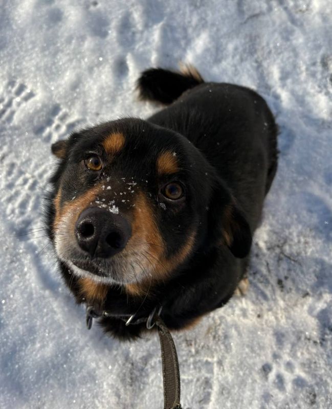 ���������� ����� ��������� ����������� ���������� �������, ������� ���������� ������� � ������ ����� ����