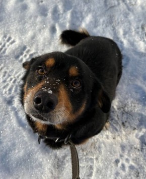 Фотография зимой позволяет запечатлеть уникальные моменты, которые невозможно увидеть в другое время года