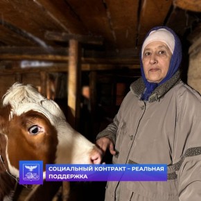 Благодаря социальному контракту жительница села Колыхалино занялась выращиванием крупно-рогатого скота