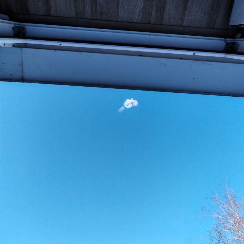 ���� �������� ��������, ���������� ������, ������ ������ ����������