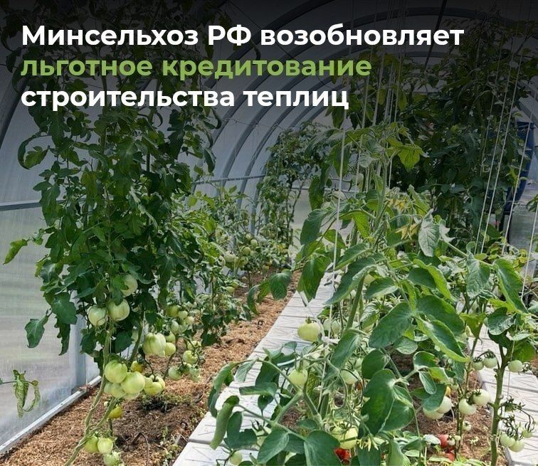 �������� ������� ��� ��������! ��� � 2026 ���� ����������� ��������� ����������� ��������� ������������� ����������� ������